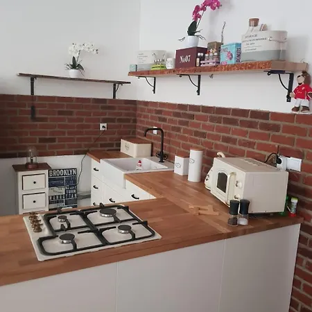 Svahova 988 10 Apartment Karlovy Vary